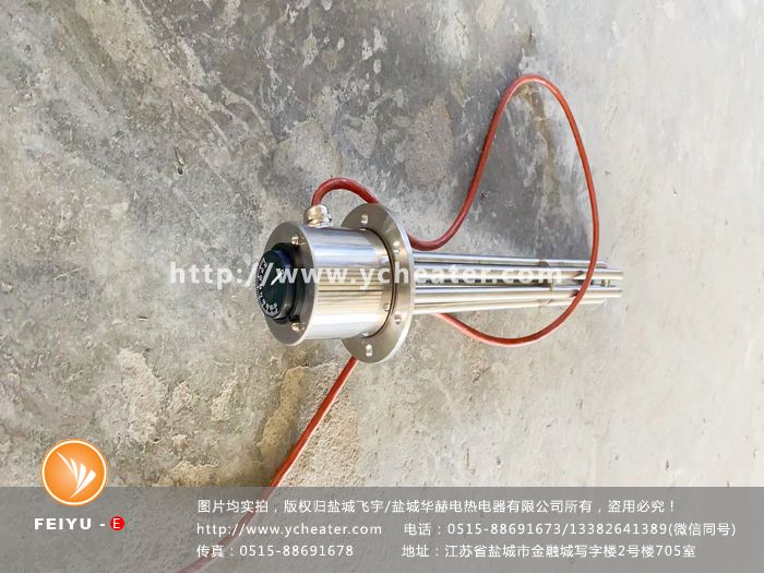 帶溫控的法蘭電加熱管